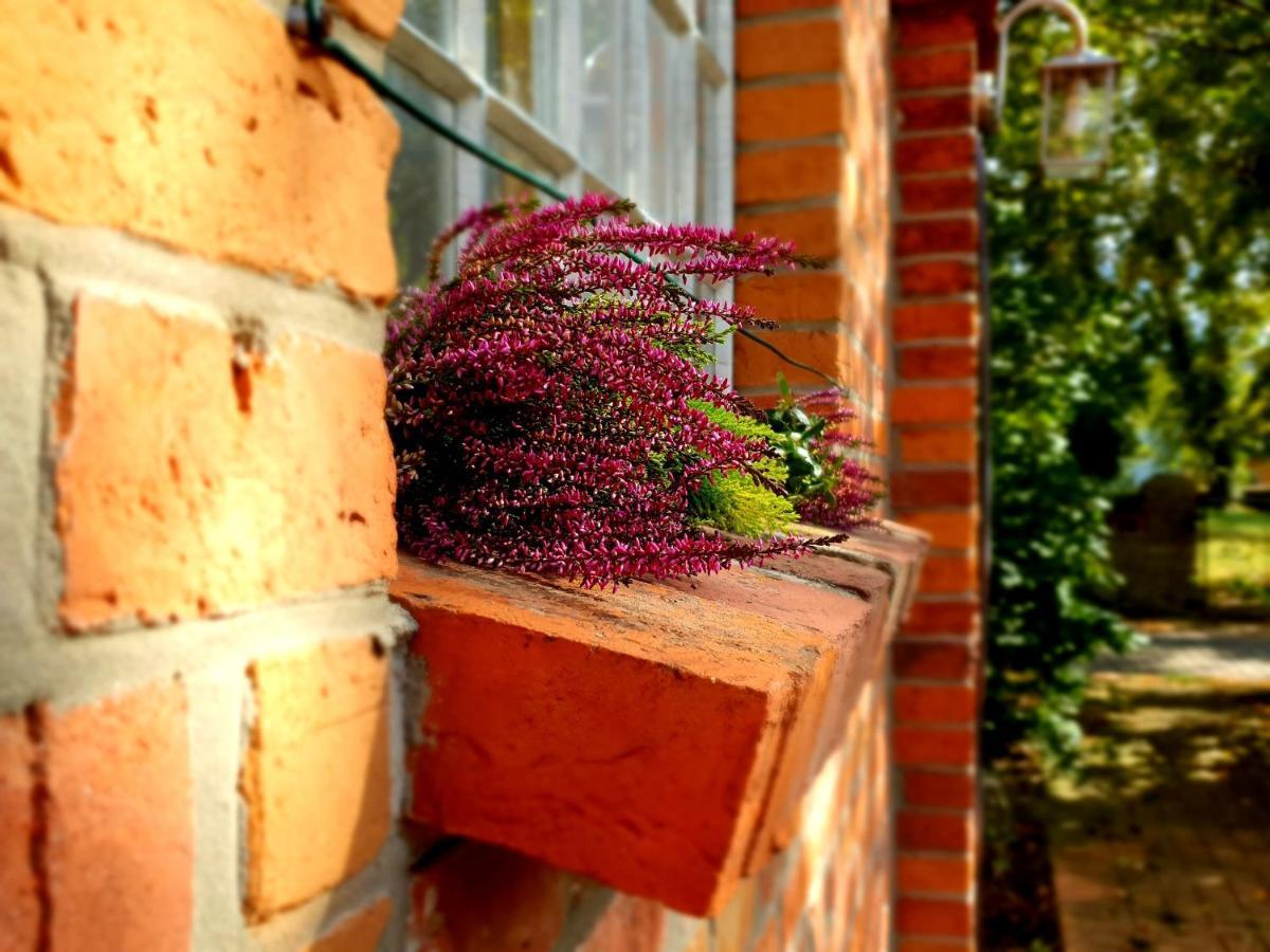 Schmiede1860 Bed and Breakfast Gross Dratow Εξωτερικό φωτογραφία